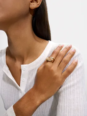 Triple Golden Ring 160210 — image 5
