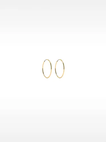 Small Gold Hoop Earrings 160176 — image 4