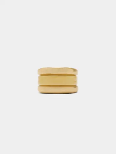 Triple Golden Ring 160210 — image 11