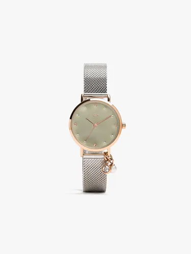 Bicolor Watch With Stainless Steel Metal Mesh 247018 — image 1