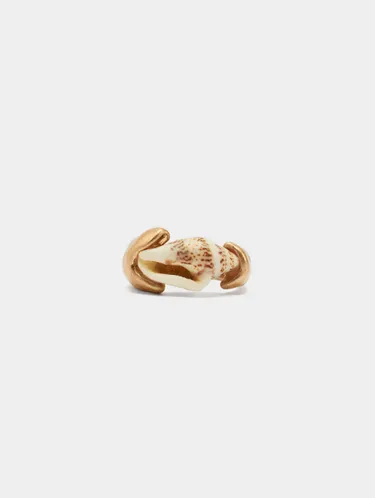 Ring With Shell 247427 — image 1