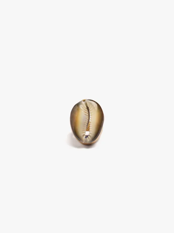 Ring With Embossed Shell 249946 — image 1